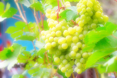 Similar image 2954371