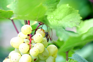 Similar image 2954372