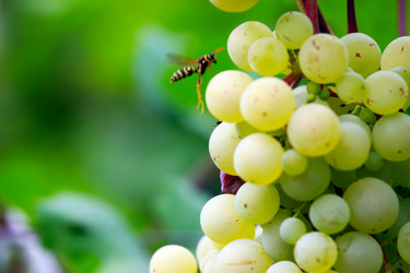 Similar image 2954373