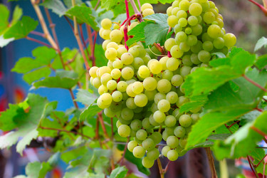 Similar image 2954374