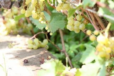 Similar image 2954375