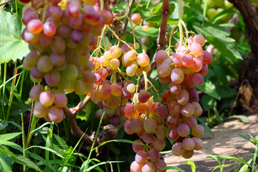 Similar image 2954376