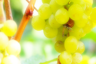 Similar image 2954377