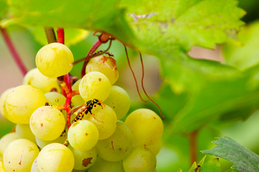 Similar image 2954379