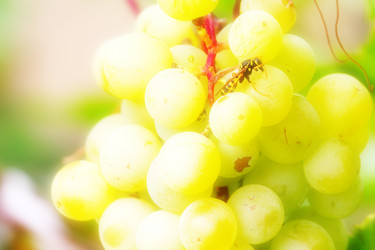 Similar image 2954380