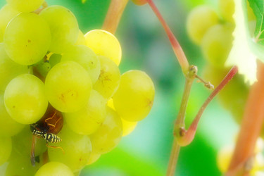 Similar image 2954381