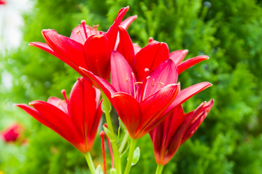 Similar image 2954408