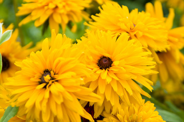 Similar image 2954409