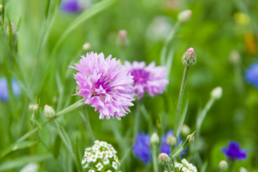 Similar image 2954410