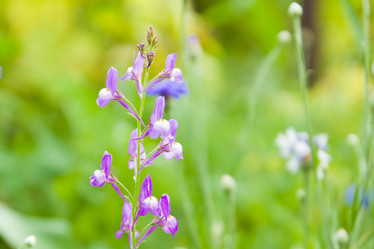 Similar image 2954411