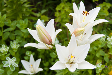 Similar image 2954414