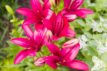 Similar image 2954415