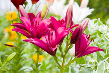 Similar image 2954418