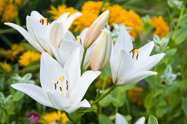 Similar image 2954419