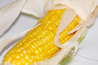 Similar image 2954427