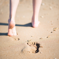 Similar image 2954432