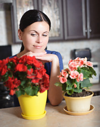 Similar image 2954446