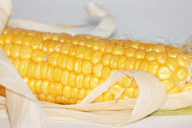 Similar image 2954447