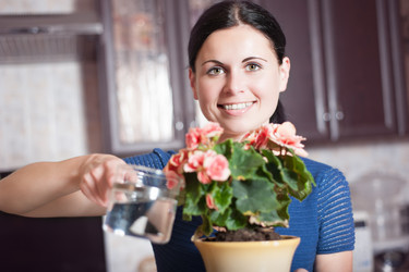 Similar image 2954450