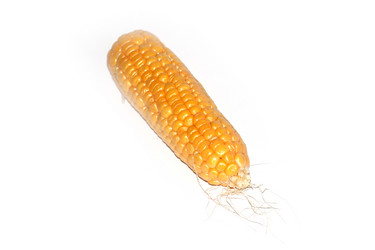 Similar image 2954451