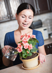 Similar image 2954455