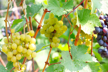 Similar image 2954541