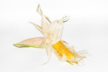 Similar image 2954545