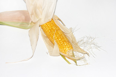 Similar image 2954546