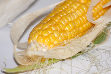 Similar image 2954548