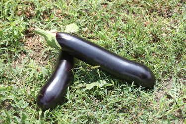 Similar image 2954555