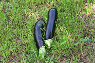 Similar image 2954558