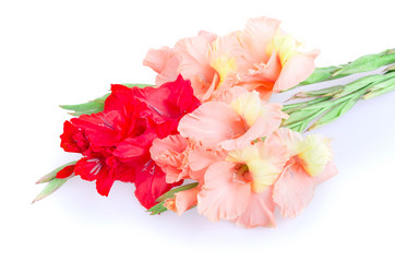 Similar image 2954565