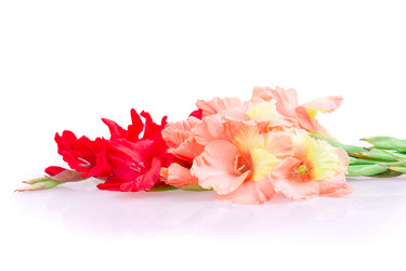 Similar image 2954566