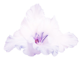 Similar image 2954568