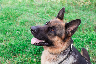 Similar image 2954576