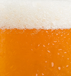 Similar image 2954587