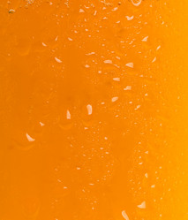 Similar image 2954589