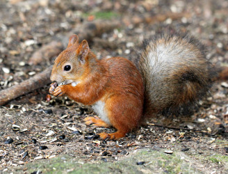 Similar image 2954693