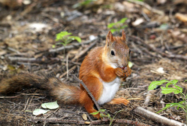 Similar image 2954704