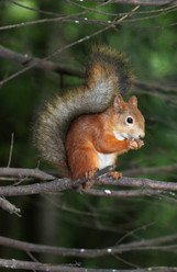 Similar image 2954721