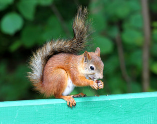 Similar image 2954722