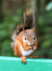 Similar image 2954723