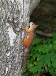 Similar image 2954725