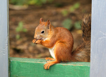 Similar image 2954727