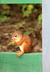 Similar image 2954728