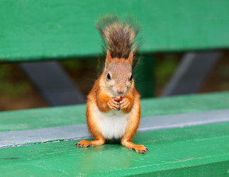 Similar image 2954730