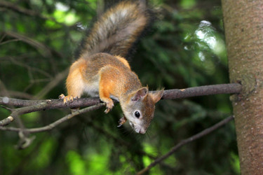 Similar image 2954732