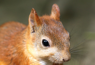 Similar image 2954737