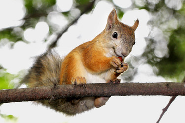 Similar image 2954738