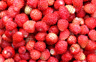 Similar image 2954749